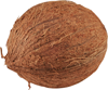 Kokos