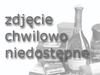 Sznycel indyczy z fileta