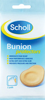 Plaster Scholl