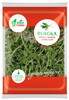 Rucola